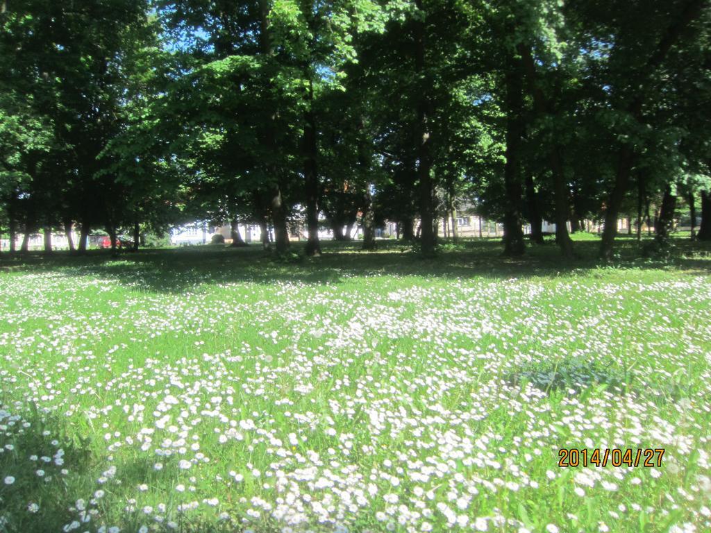 Csigaház panzió Hotel Gyula Szoba fotó
