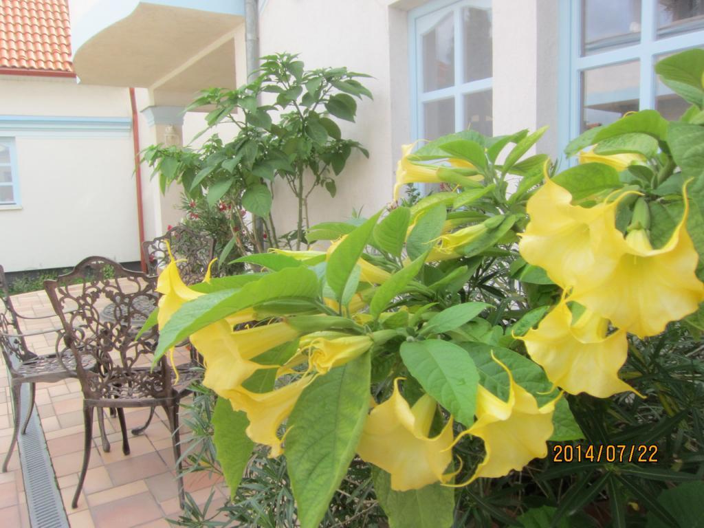 Csigaház panzió Hotel Gyula Szoba fotó