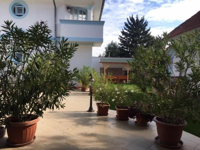 Csigaház panzió Hotel Gyula Kültér fotó