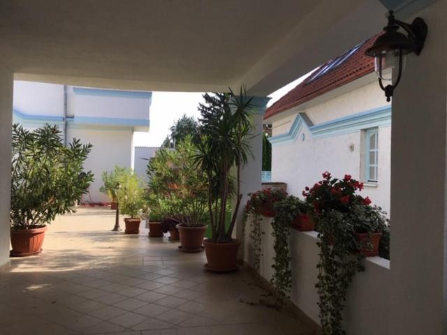Csigaház panzió Hotel Gyula Kültér fotó